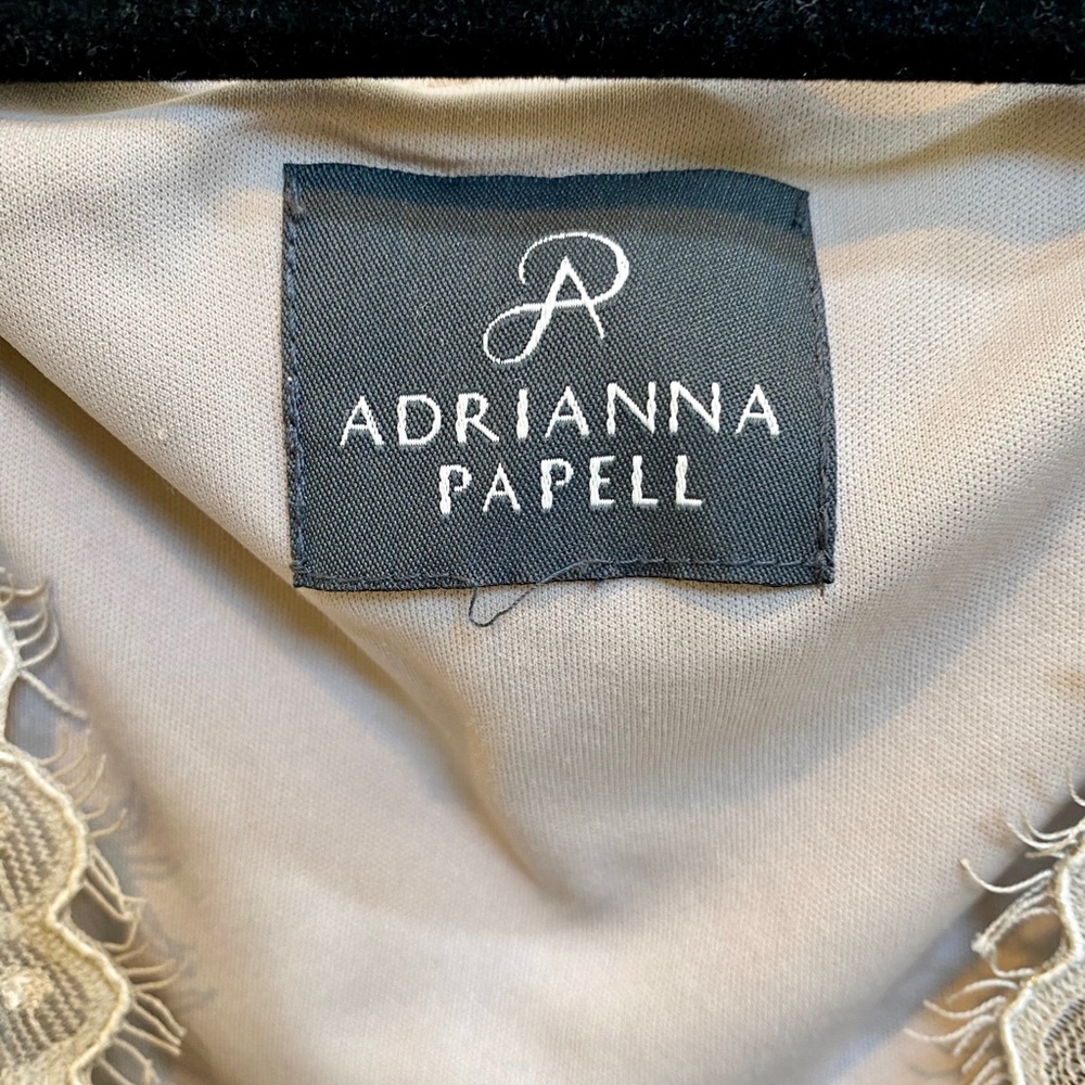 Adrianna Papell Nude Lace Dress - Picture 4 of 5